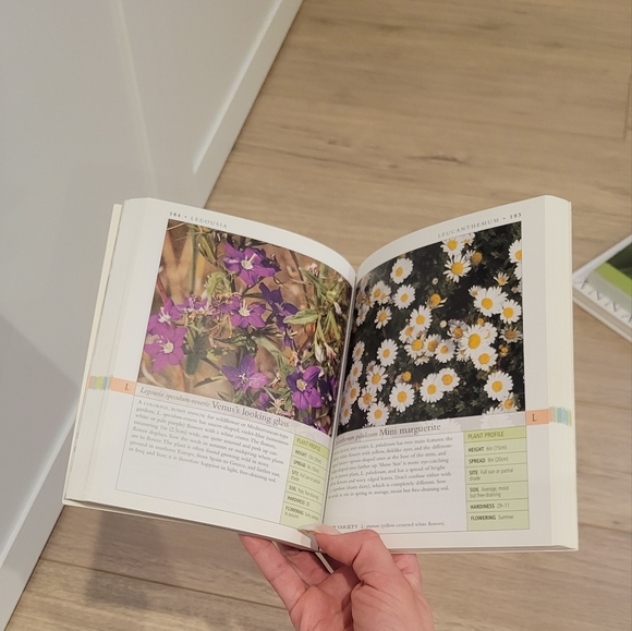 Annuals and biennials book - Picture 2 of 3